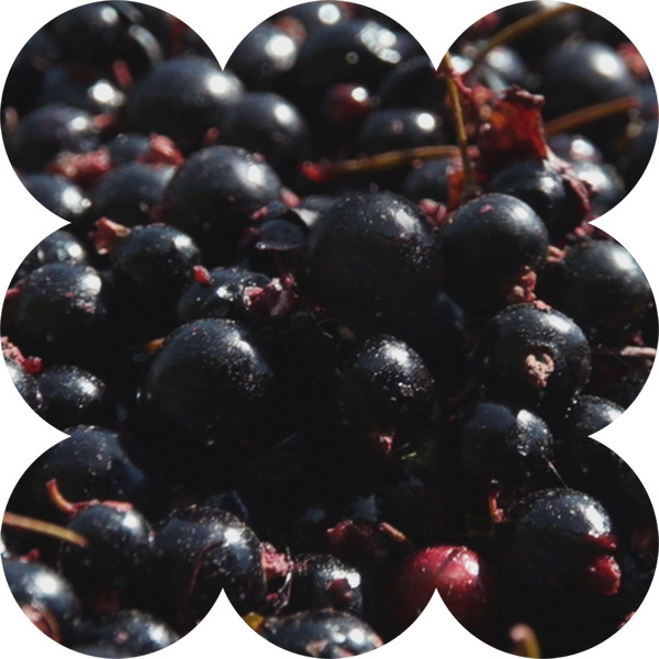 Optimally Dosed Ingredients