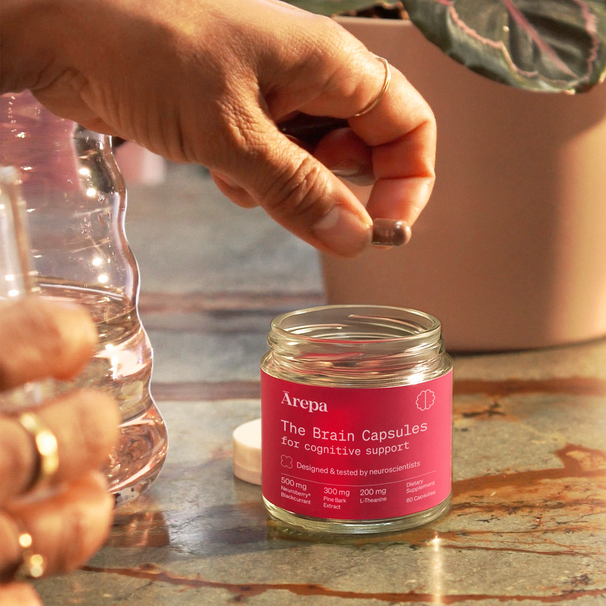 The Brain Capsules for Cognitive Support