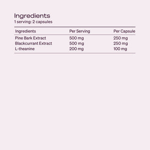 Brain Powder & Capsule Sample Pack