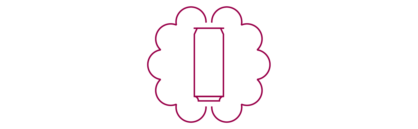 Product Factoids 250ml Can